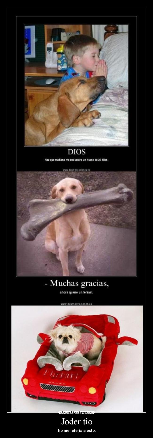 carteles solo dios sabe desmotivaciones