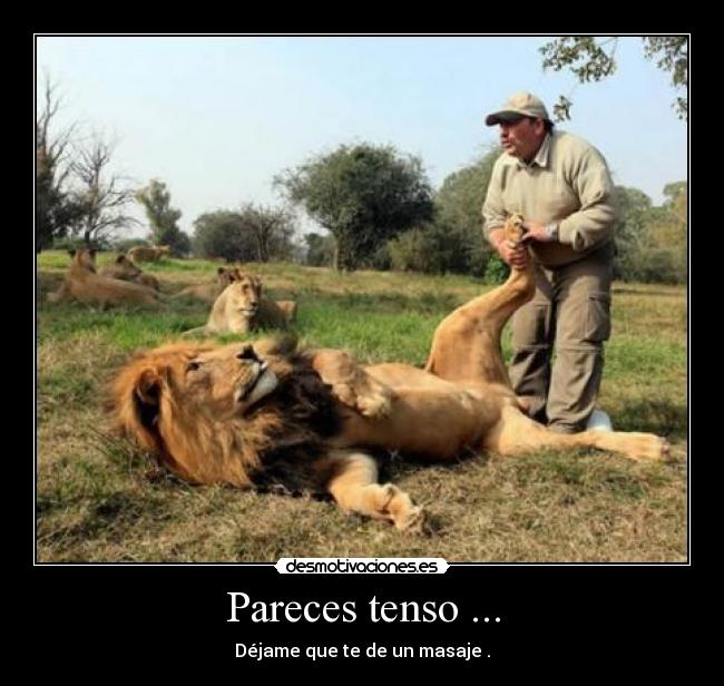 Pareces tenso ... -