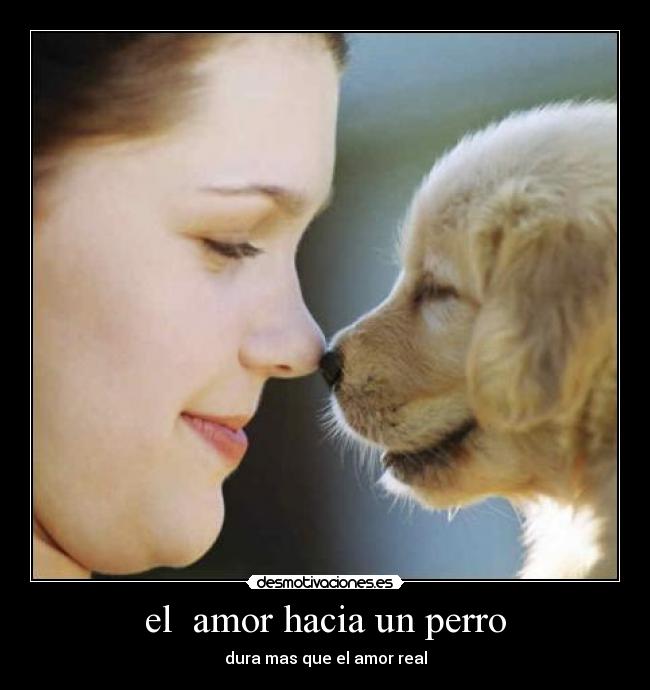 el amor hacia un perro - dura mas que el amor real
