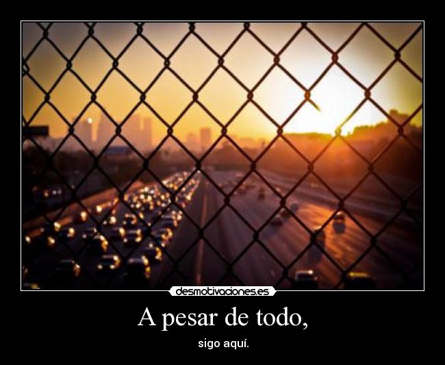 A pesar de todo, - sigo aquí.