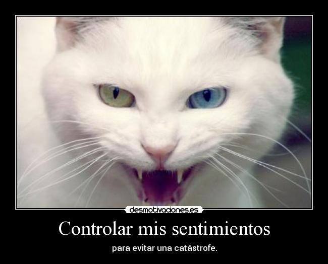 Controlar mis sentimientos -