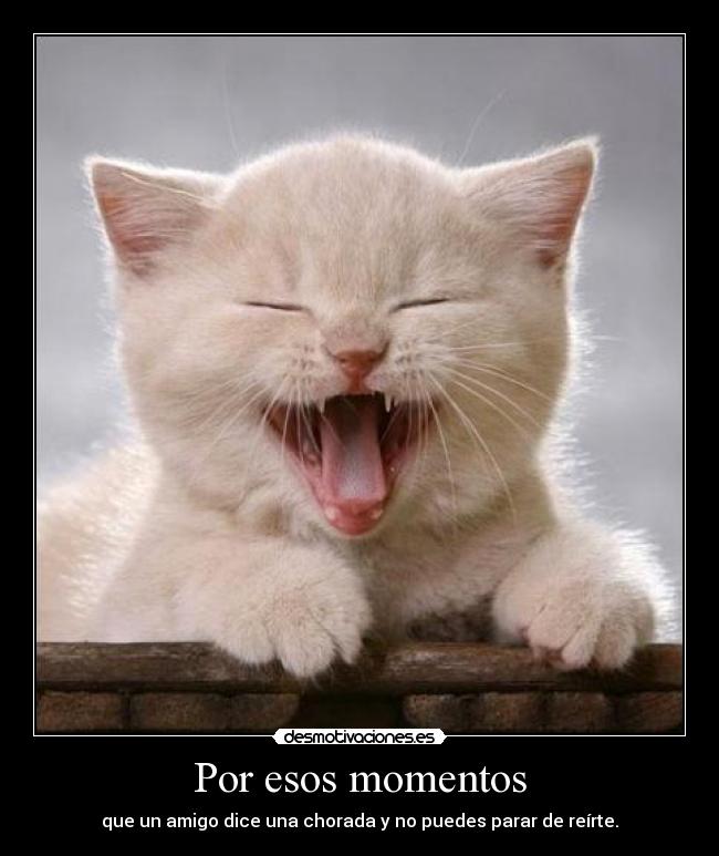 Por esos momentos - que un amigo dice una chorada y no puedes parar de reírte.