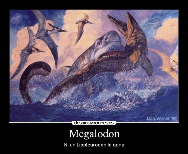 Megalodon - Ni un Liopleurodon le gana