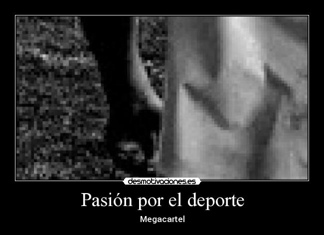 Pasión por el deporte - Megacartel
