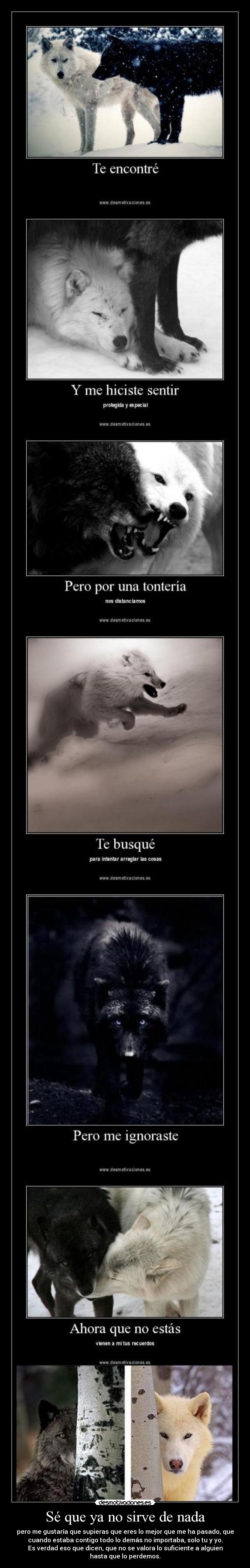 Sé que ya no sirve de nada - pero me gustaría que supieras que eres lo mejor que me ha pasado, que
cuando estaba contigo todo lo demás no importaba, solo tu y yo.
Es verdad eso que dicen, que no se valora lo suficiente a alguien
hasta que lo perdemos.