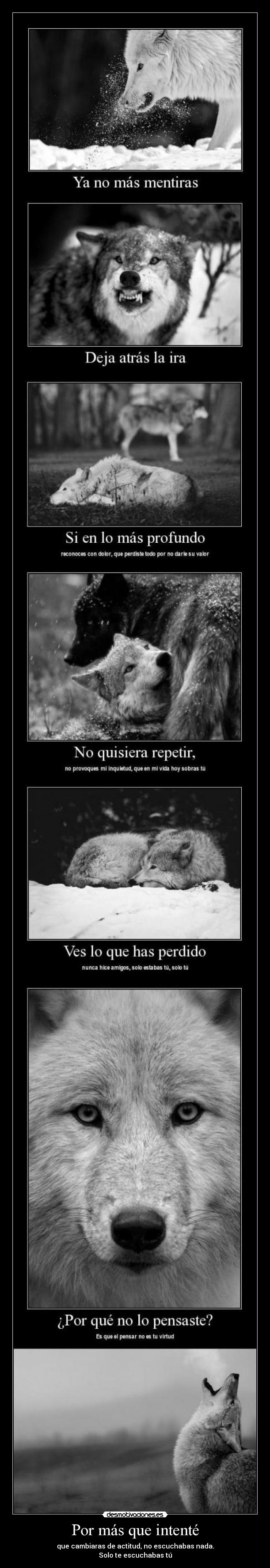 Por más que intenté -