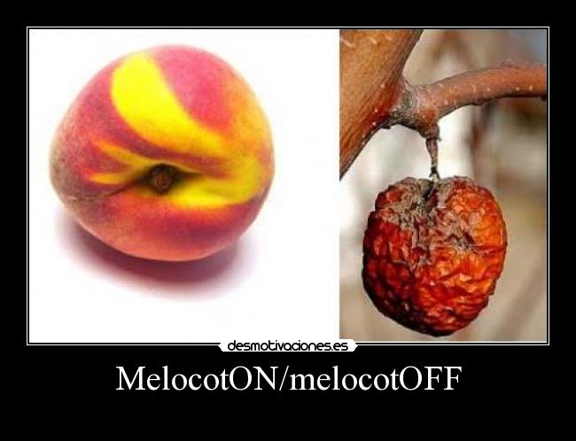 MelocotON/melocotOFF -