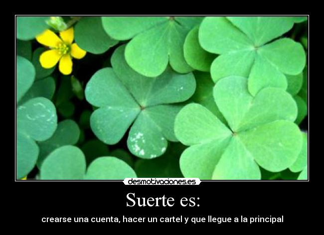 Suerte es: - 