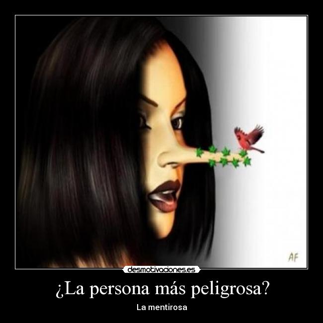 carteles tamara1695 mentirosa desmotivaciones