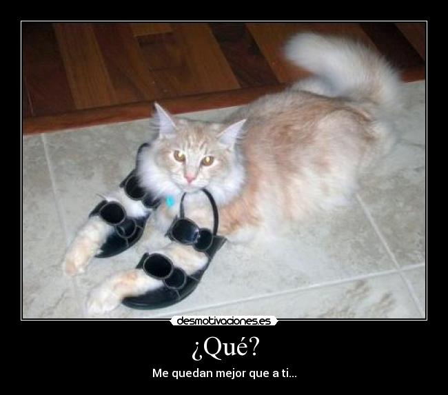 ¿Qué? -
