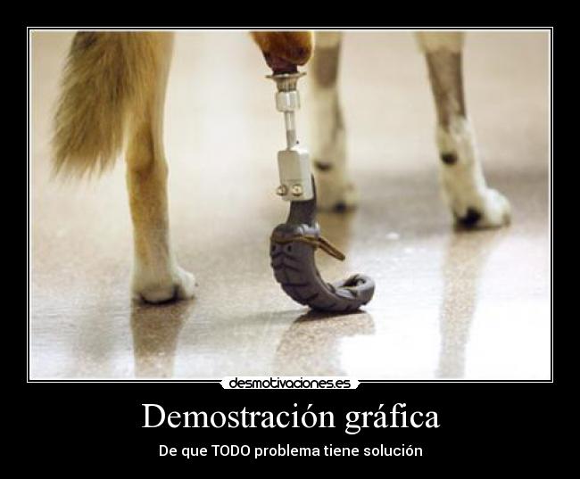 carteles natalia cajiao desmotivaciones