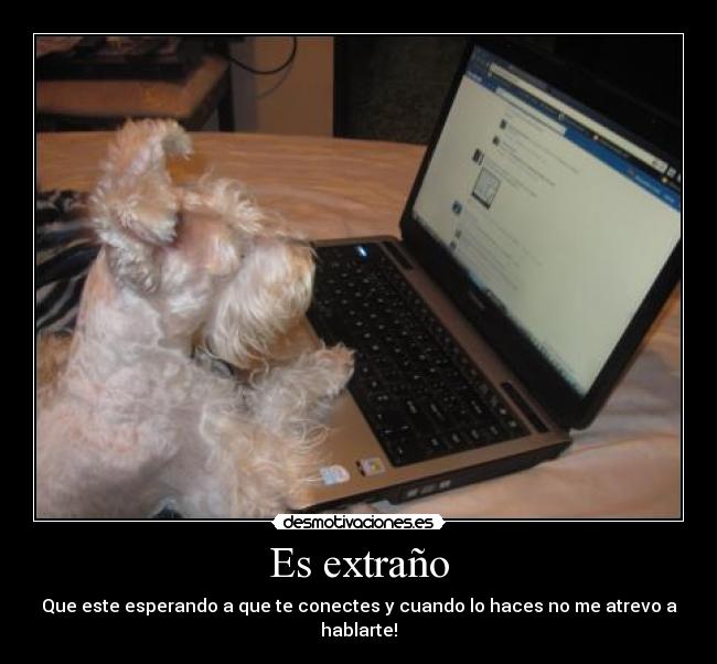 Es extraño - Que este esperando a que te conectes y cuando lo haces no me atrevo a hablarte!