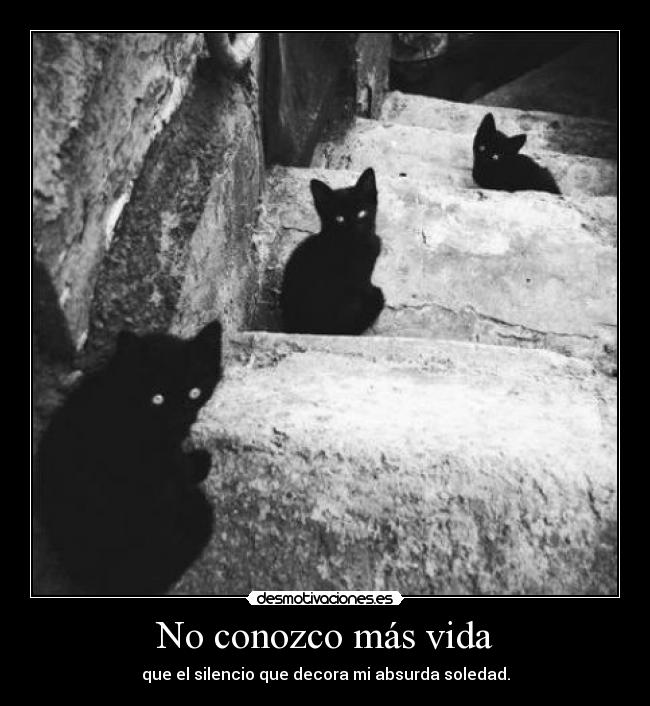 No conozco más vida - que el silencio que decora mi absurda soledad.