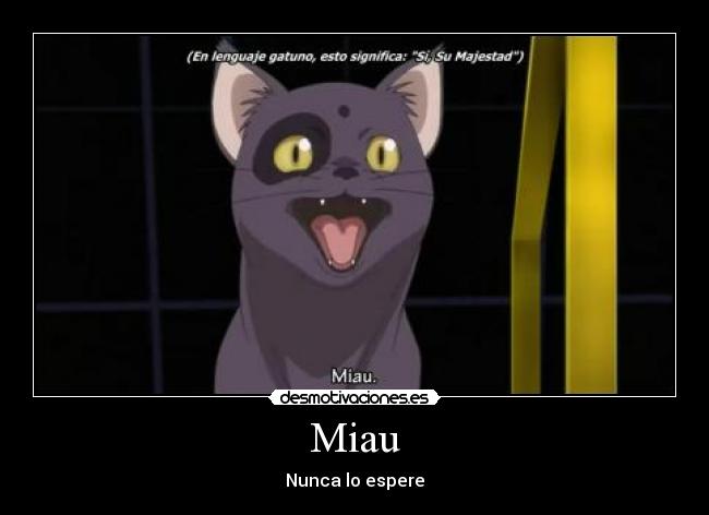 carteles miau code geass arthur desmotivaciones