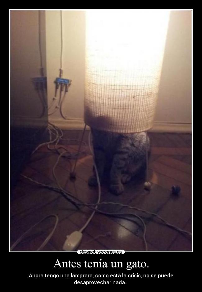 Antes tenía un gato. -