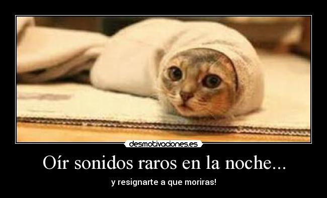 Oír sonidos raros en la noche... -