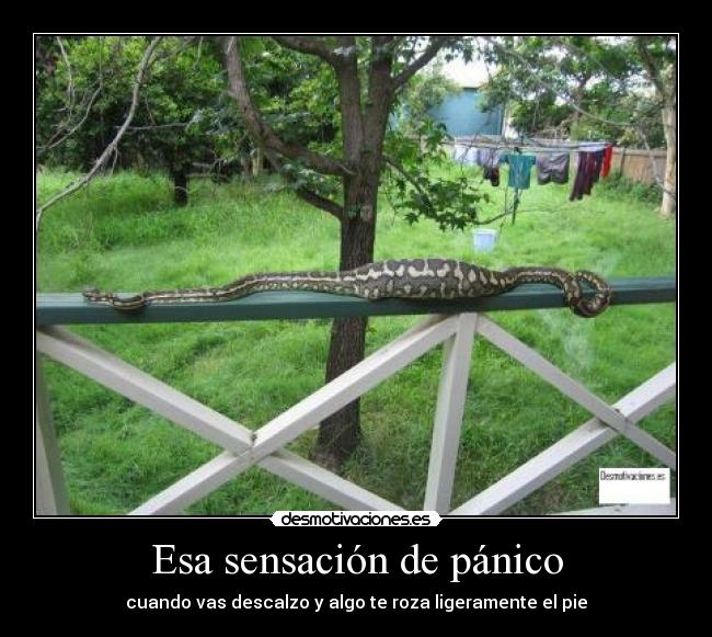 carteles ese bicho mola mucho quiero pah lol dame gasoil juncos jejasjas desmotivaciones