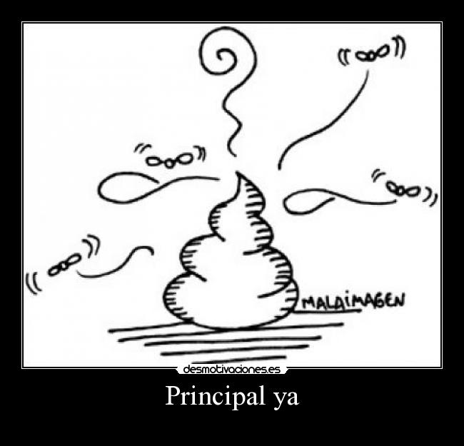 Principal ya - 