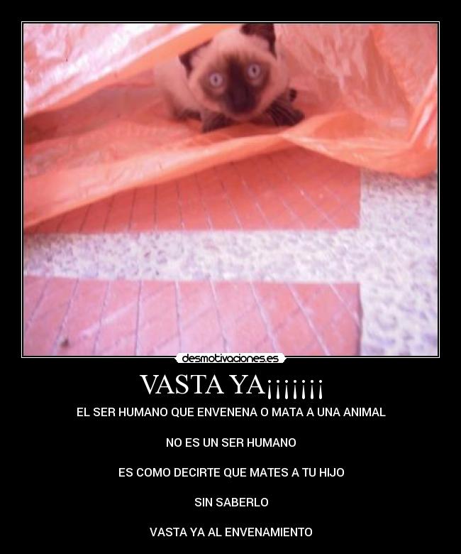 VASTA YA¡¡¡¡¡¡¡ -
