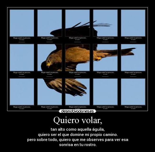 Quiero volar, - 
