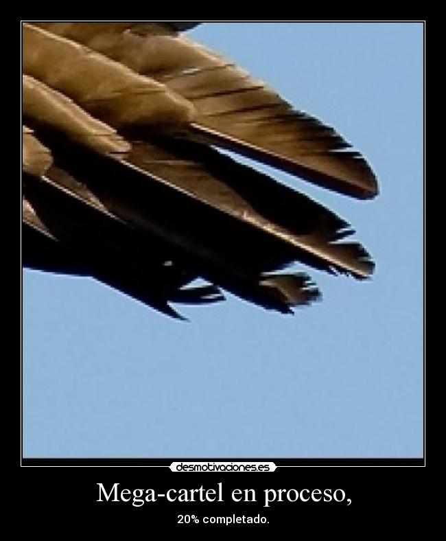 Mega-cartel en proceso, - 20% completado.