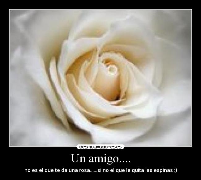 Un amigo.... -