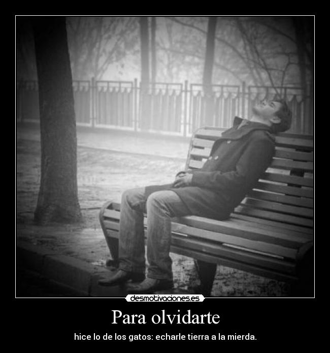 Para olvidarte - hice lo de los gatos: echarle tierra a la mierda.