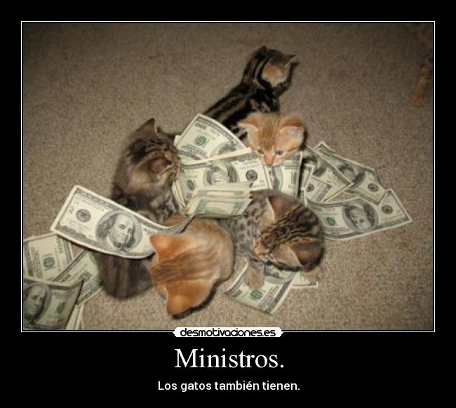 Ministros. - Los gatos también tienen.