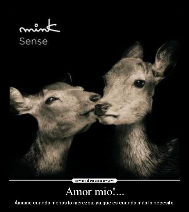 Amor mio!... -