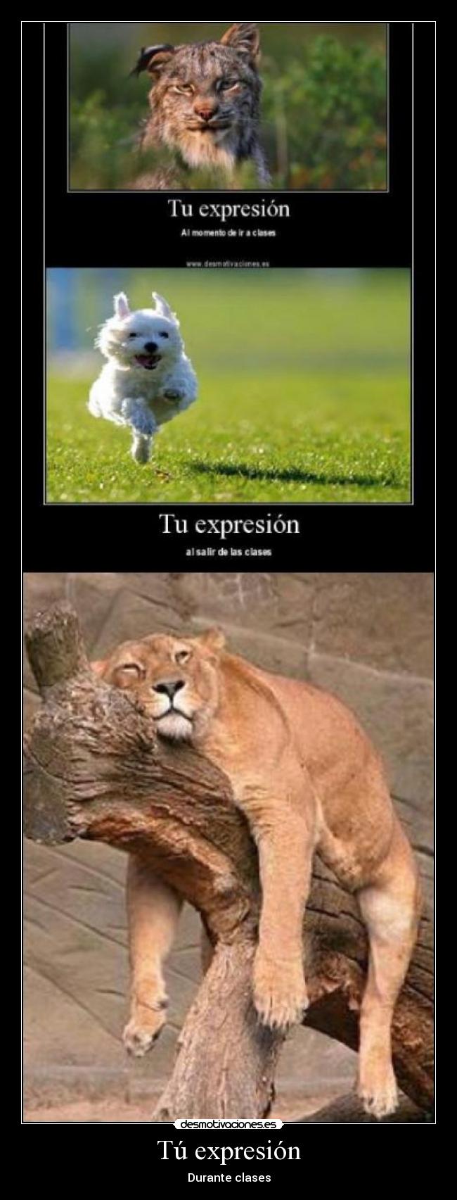 Tú expresión - Durante clases