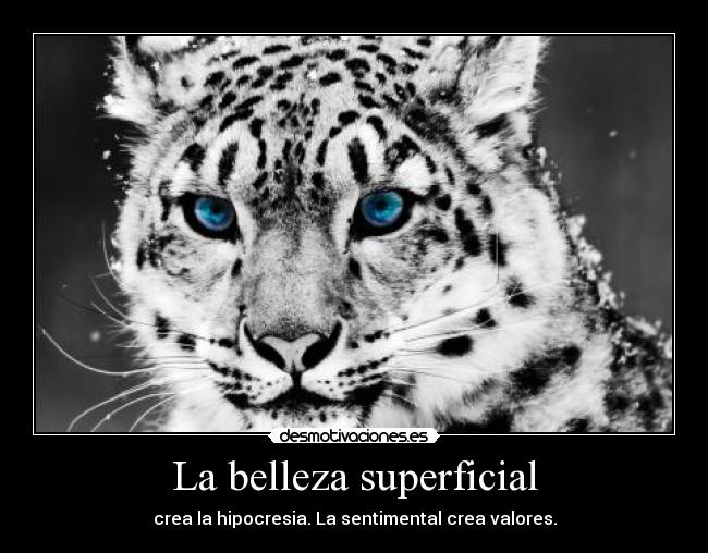 La belleza superficial - crea la hipocresia. La sentimental crea valores.