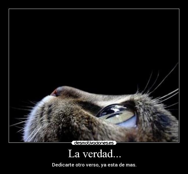 La verdad... - Dedicarte otro verso, ya esta de mas.