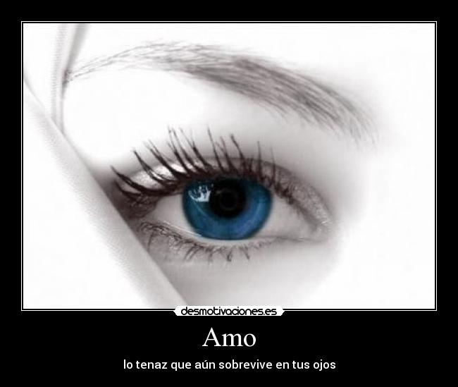 Amo - lo tenaz que aún sobrevive en tus ojos