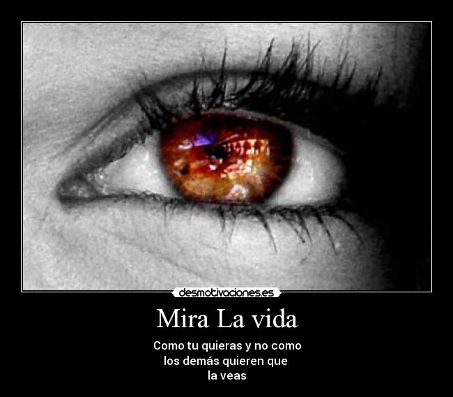 carteles vida vive vida manera desmotivaciones