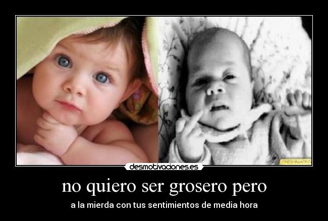 no quiero ser grosero pero - 
