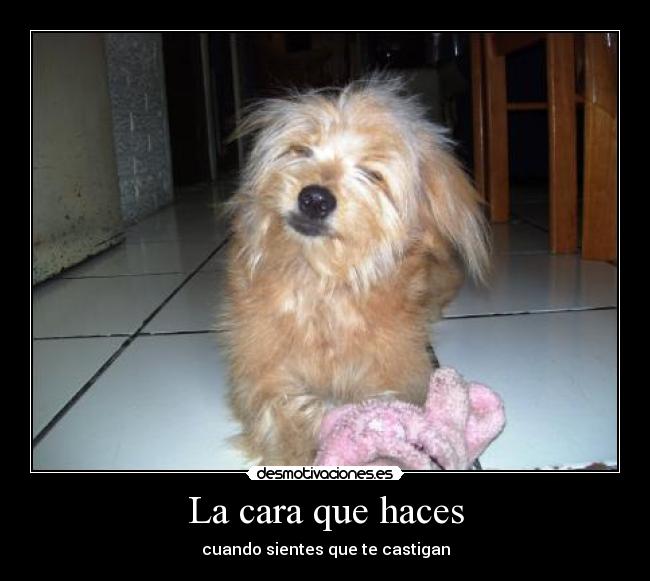 La cara que haces -