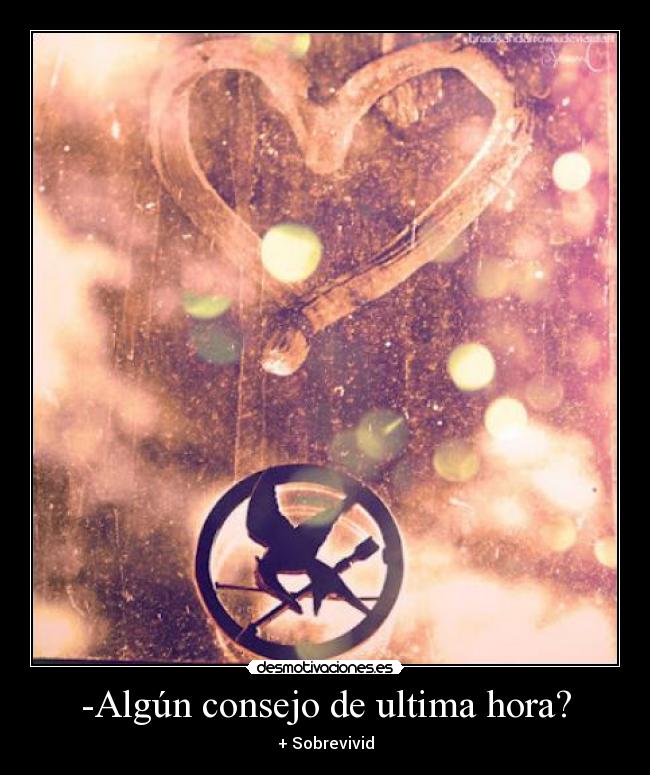 -Algún consejo de ultima hora? -