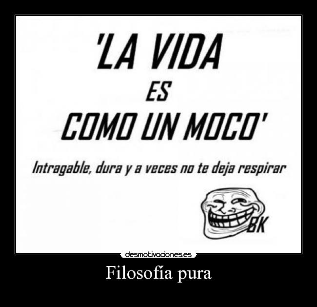 Filosofía pura -