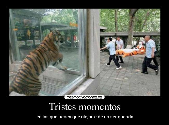 Tristes momentos -