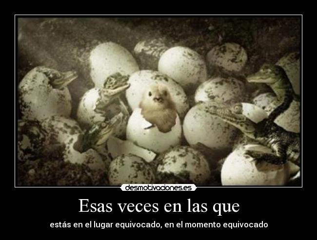 Esas veces en las que - 