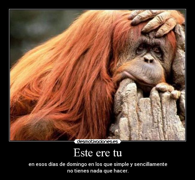 Este ere tu - en esos días de domingo en los que simple y sencillamente
no tienes nada que hacer.