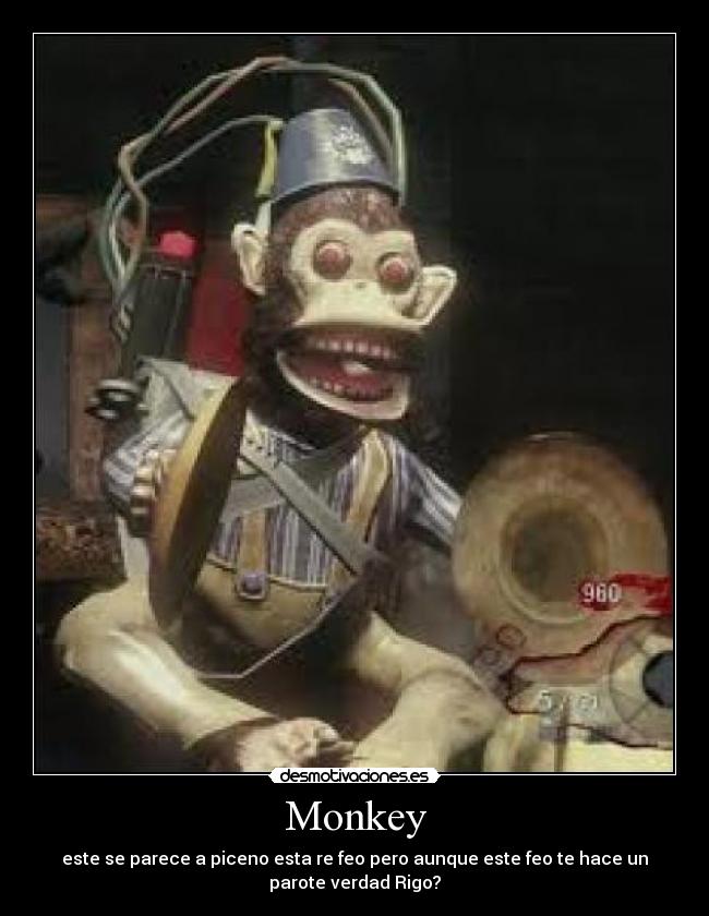 Monkey - 