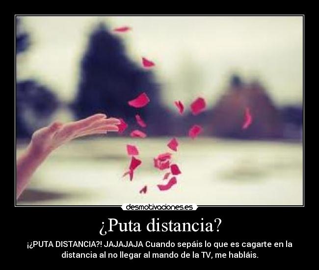 ¿Puta distancia? - ¡¿PUTA DISTANCIA?! JAJAJAJA Cuando sepáis lo que es cagarte en la
distancia al no llegar al mando de la TV, me habláis.