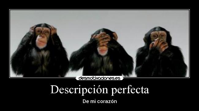Descripción perfecta -