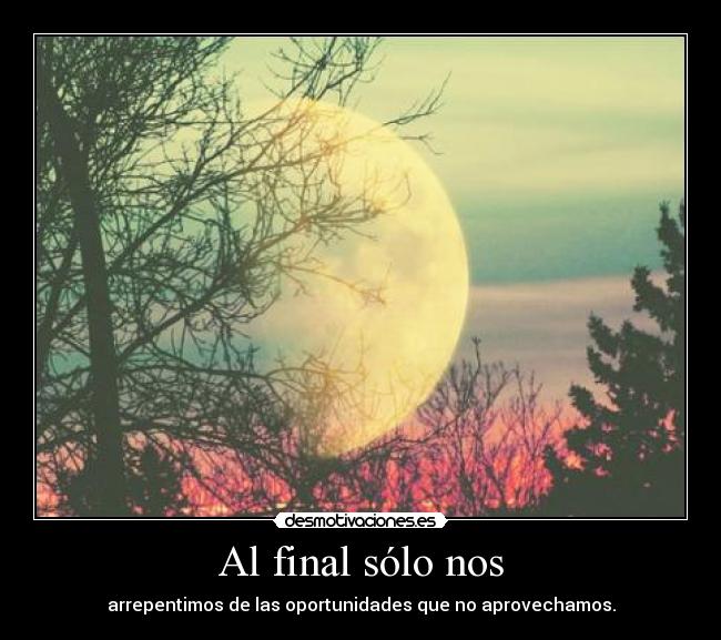Al final sólo nos - arrepentimos de las oportunidades que no aprovechamos.