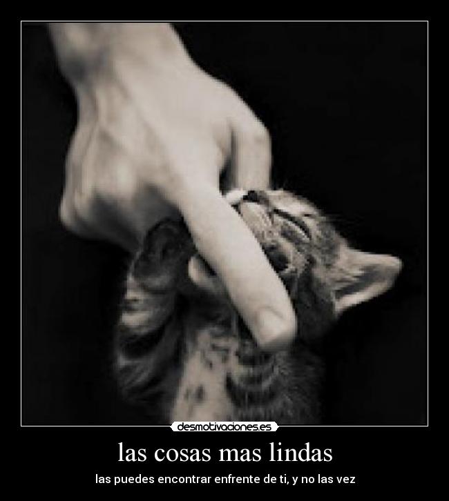 las cosas mas lindas - las puedes encontrar enfrente de ti, y no las vez