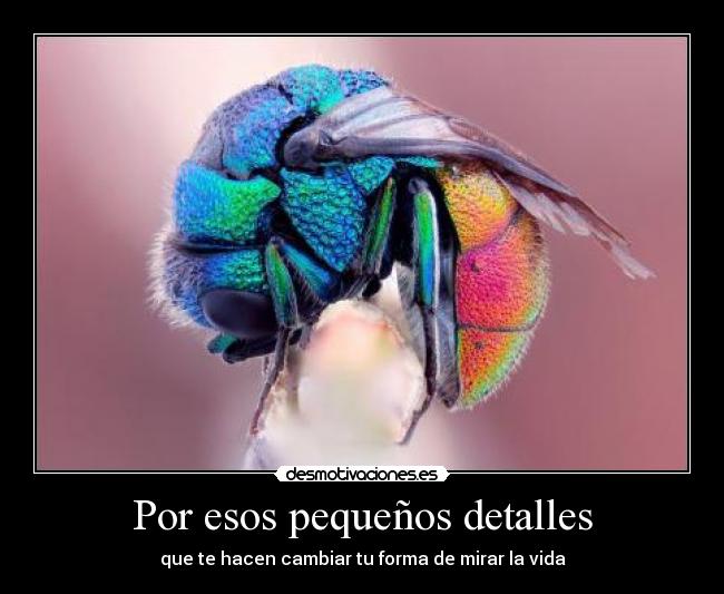 carteles sigueme twitter cuenta lgns desmotivaciones