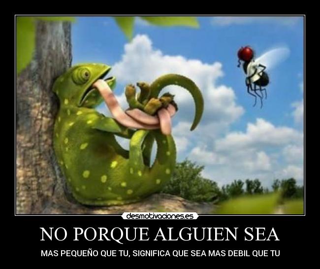 NO PORQUE ALGUIEN SEA -