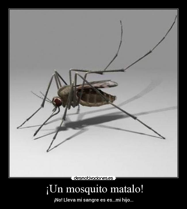 ¡Un mosquito matalo! -