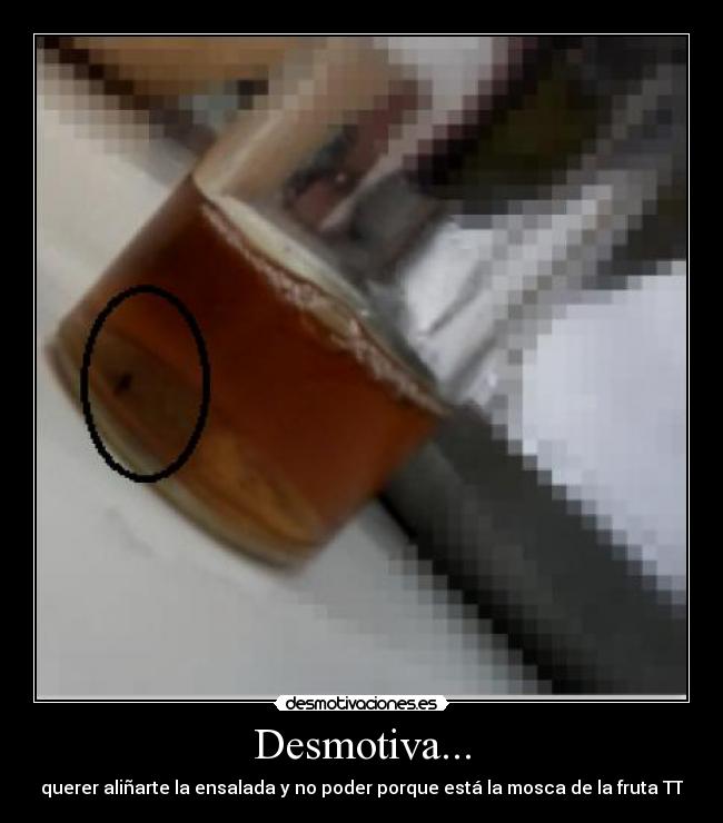 Desmotiva... - querer aliñarte la ensalada y no poder porque está la mosca de la fruta TT